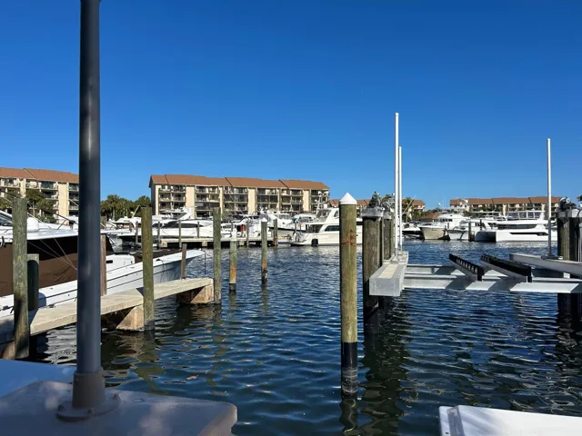 View from patio
