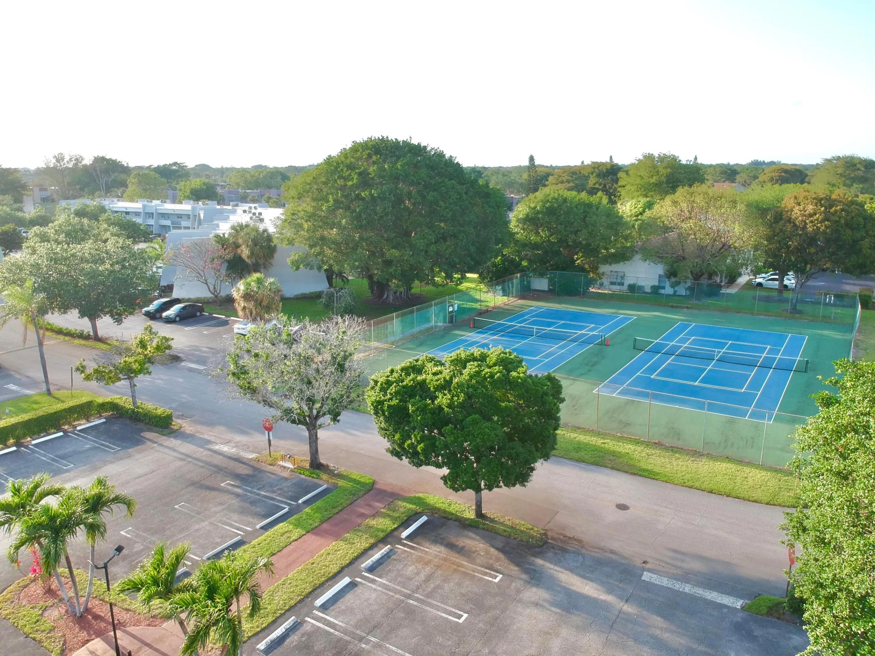lagotennis