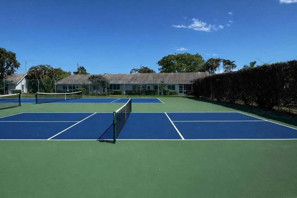 lagotennis 1
