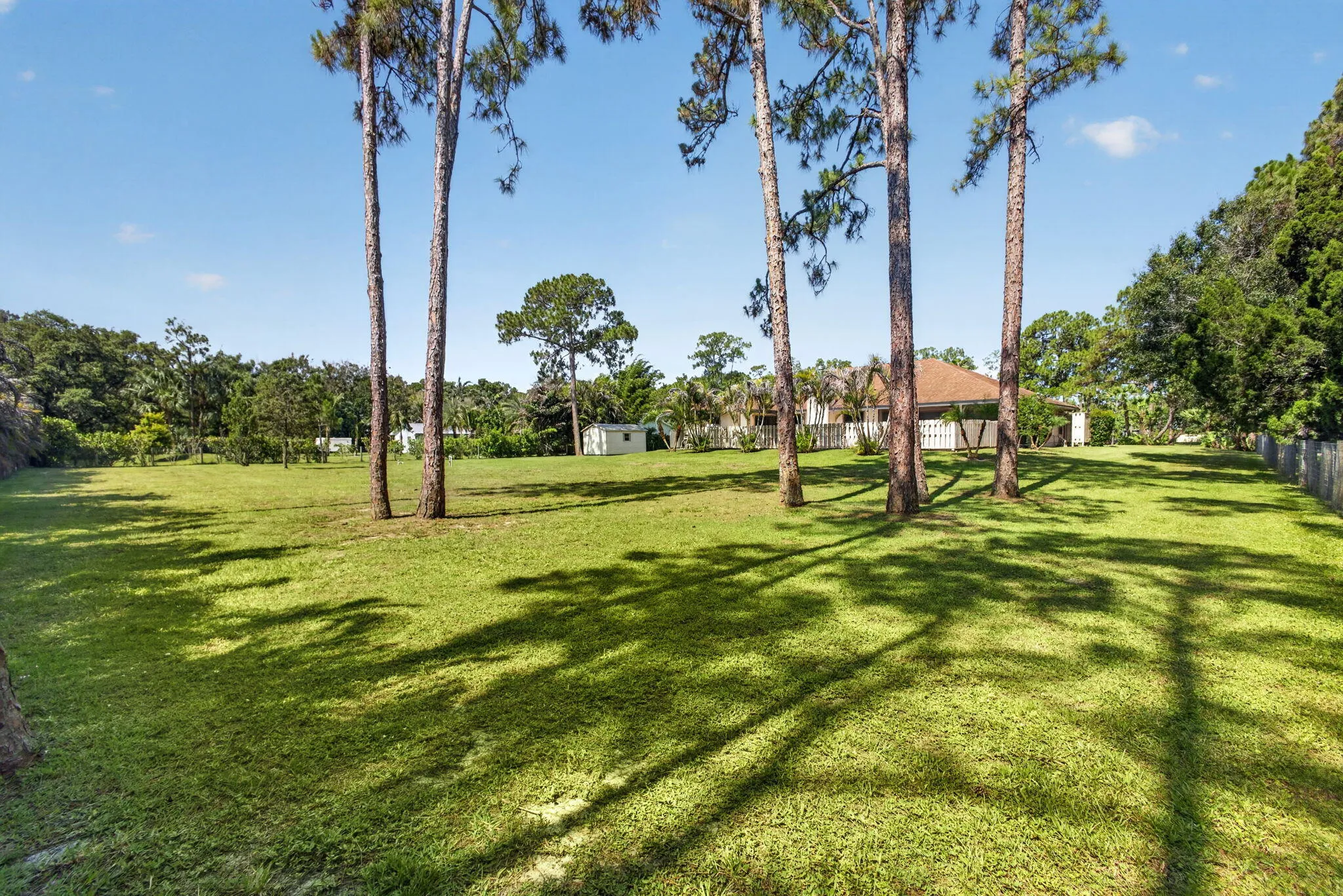 77-web-or-mls-5D1A8511