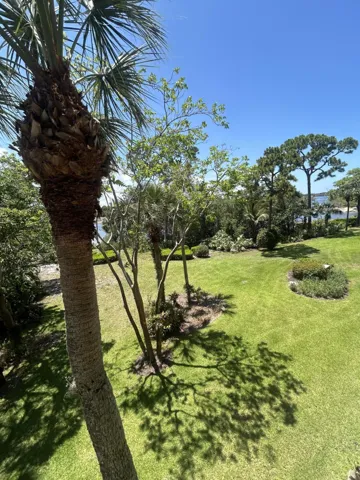 View from Balcony