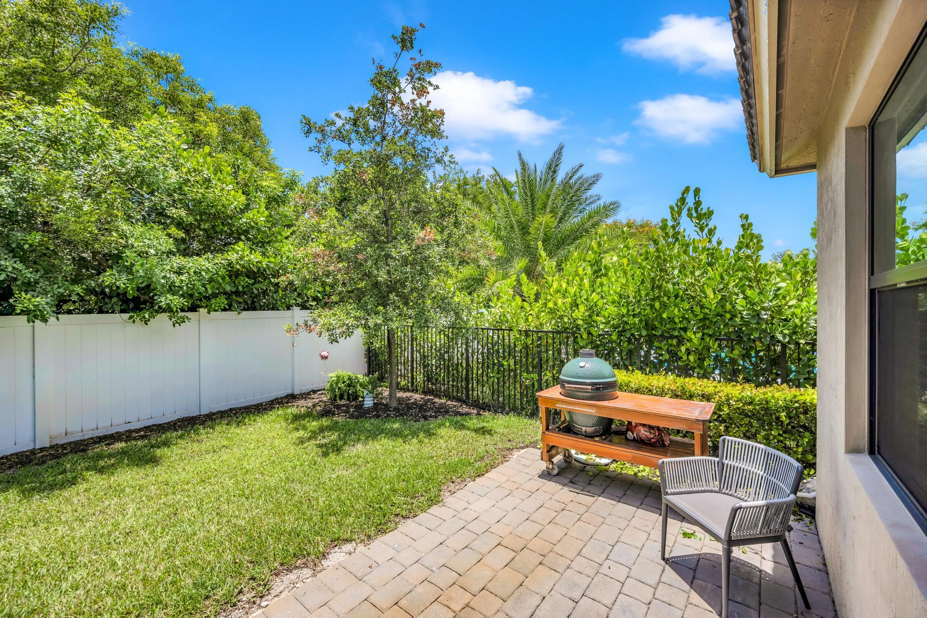 Grill/Back Yard
