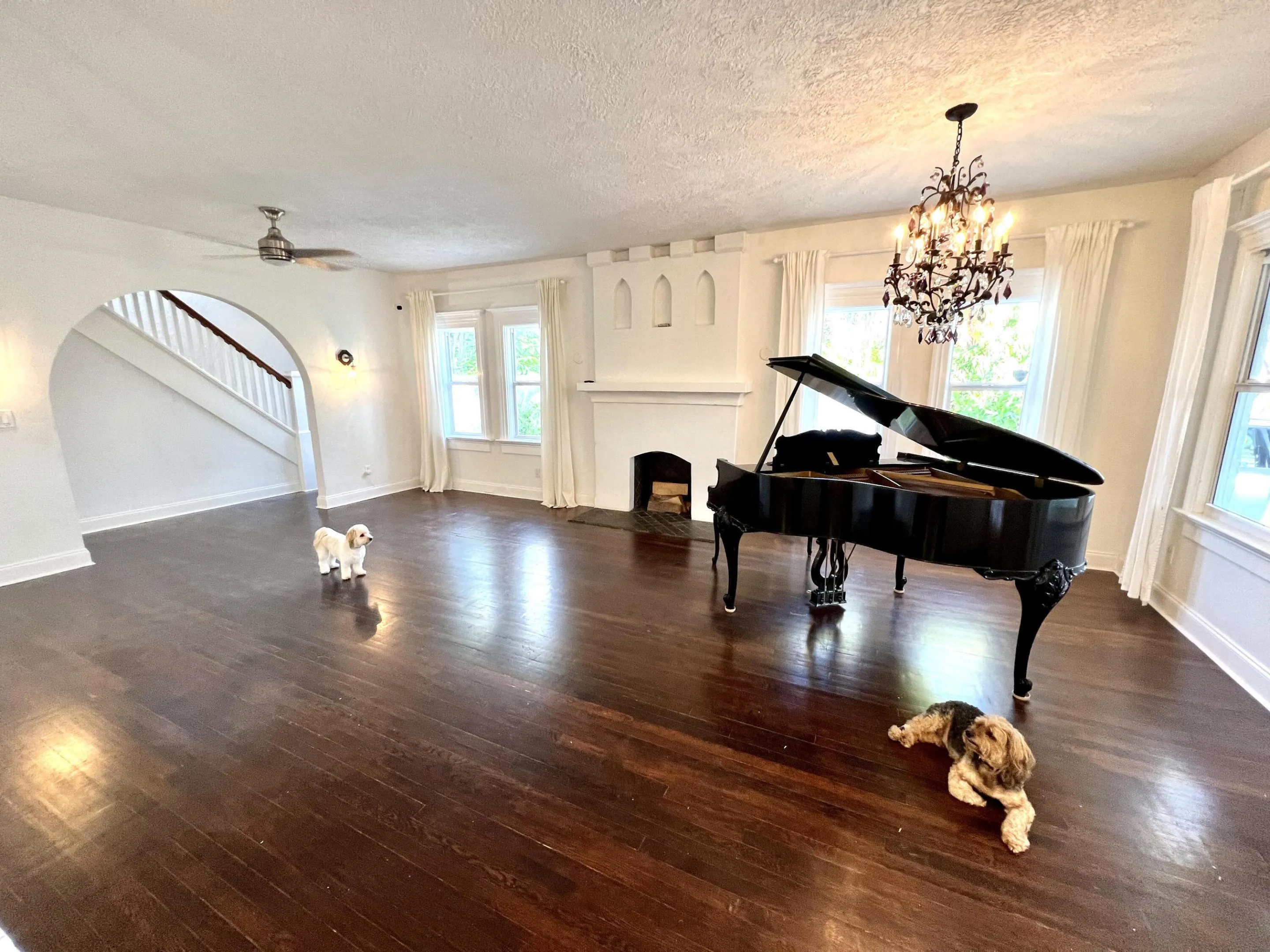 10' Ceilings