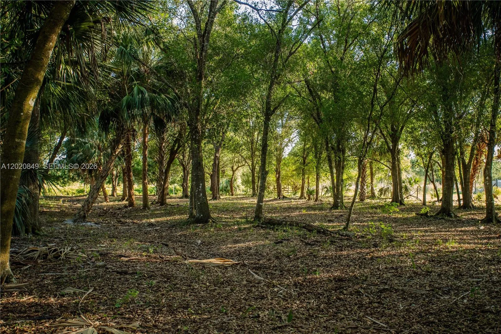 Property photo 36
