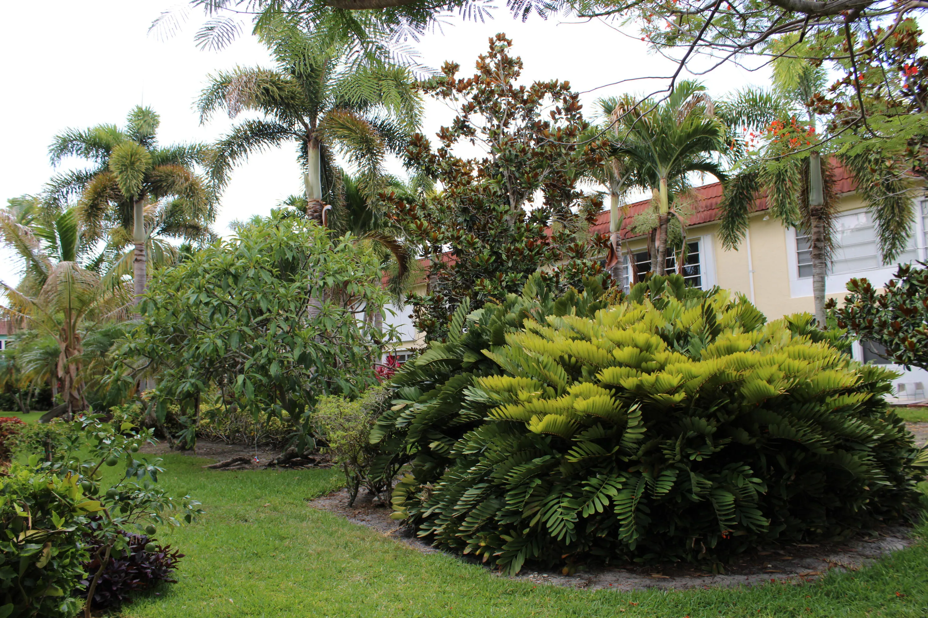 Property photo 52