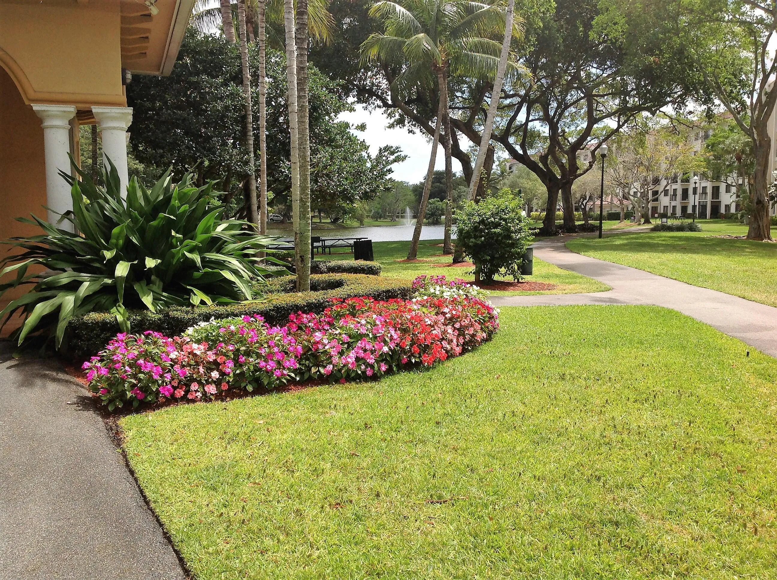 delray-1 (57)