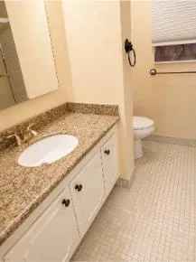 MasterBathVanity