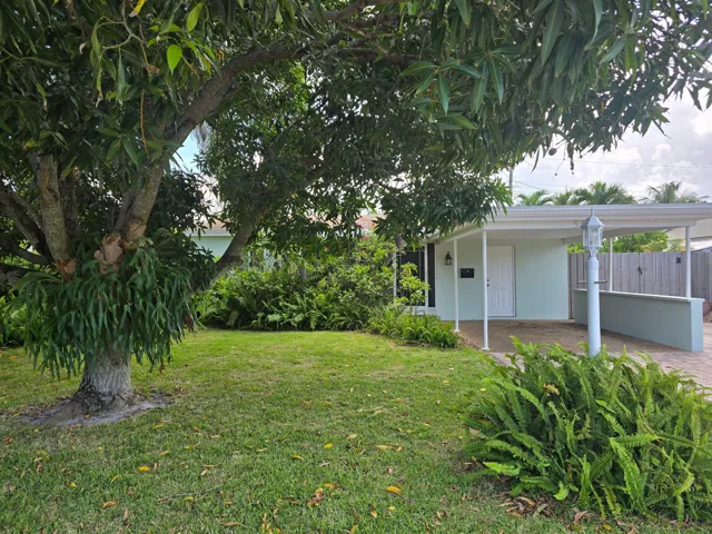 image4
