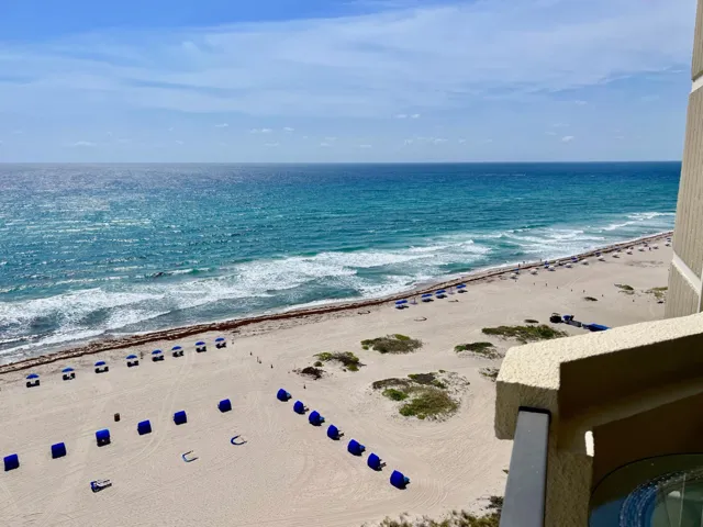 ALL ABOUT THE VIEWS