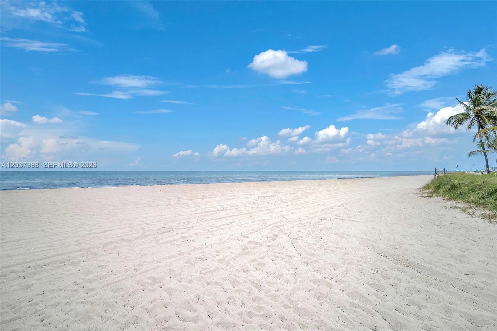 Beachfront 2