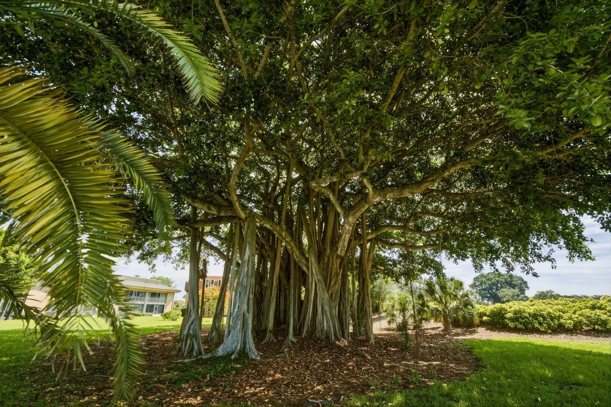 10720 Ave of the PGA Palm Beach Gardens
