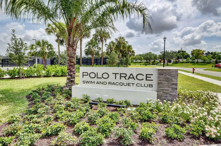 67-web-or-mls-44_polo trace (1)