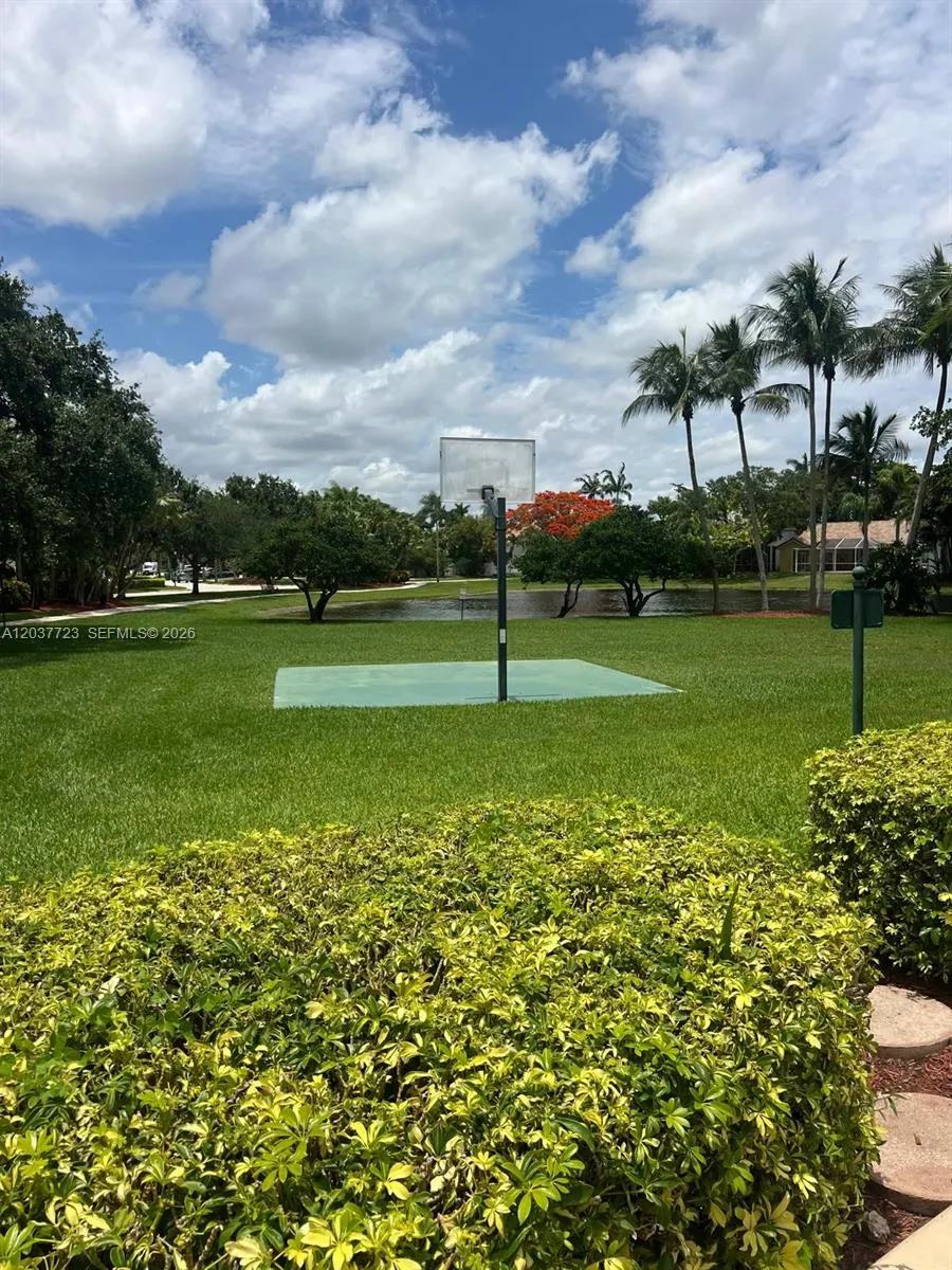 Basketball court