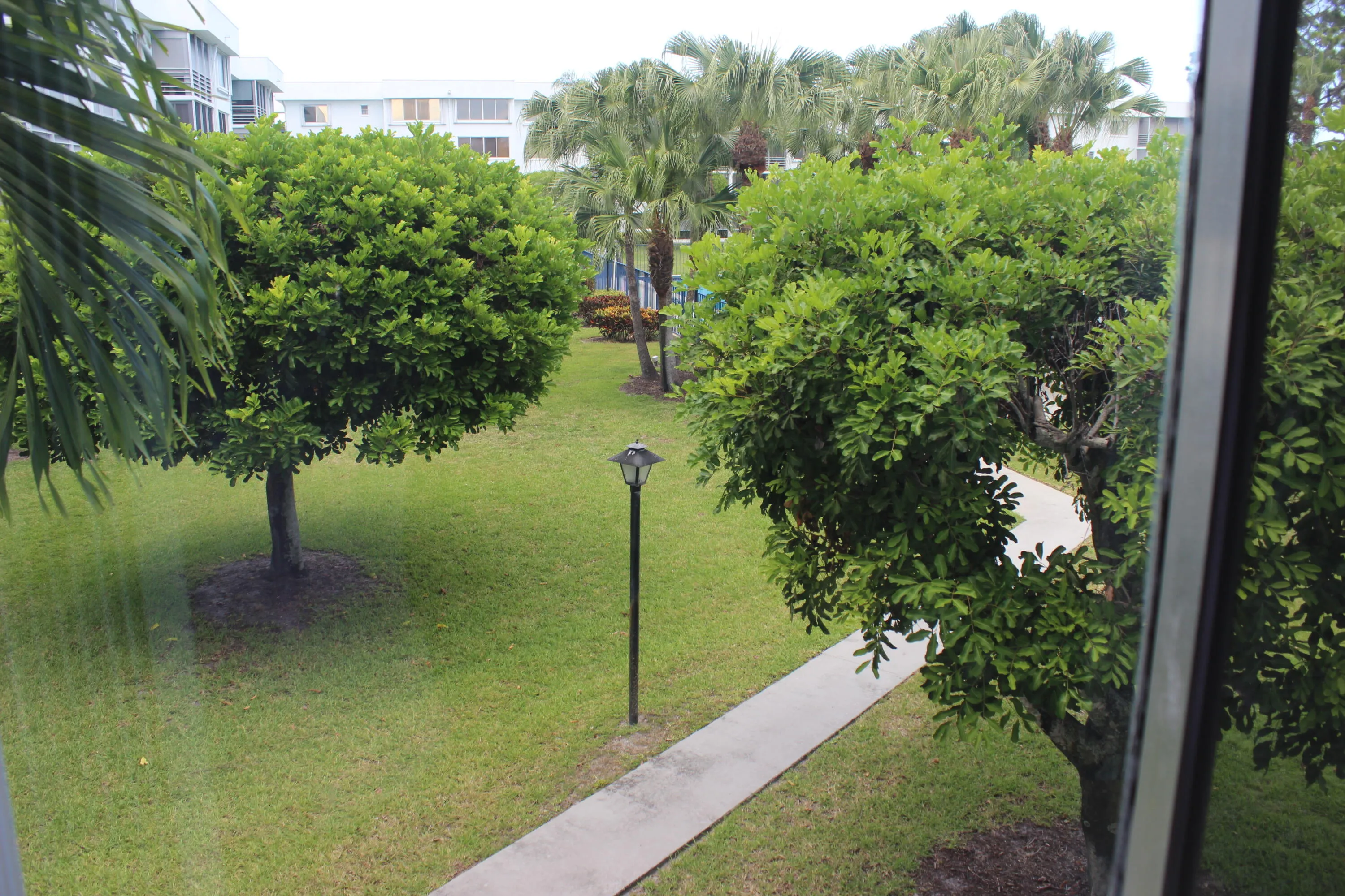 VIEW FROM LIVING ROOM