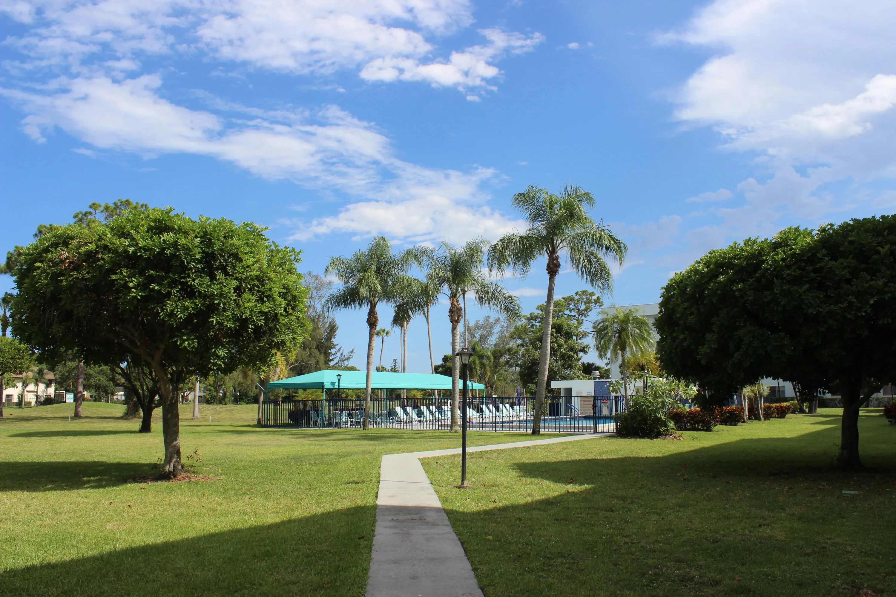 NICE OPEN AREAS FOR WALKING