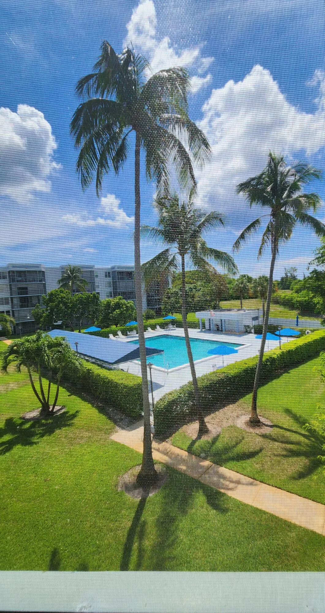 Pool view