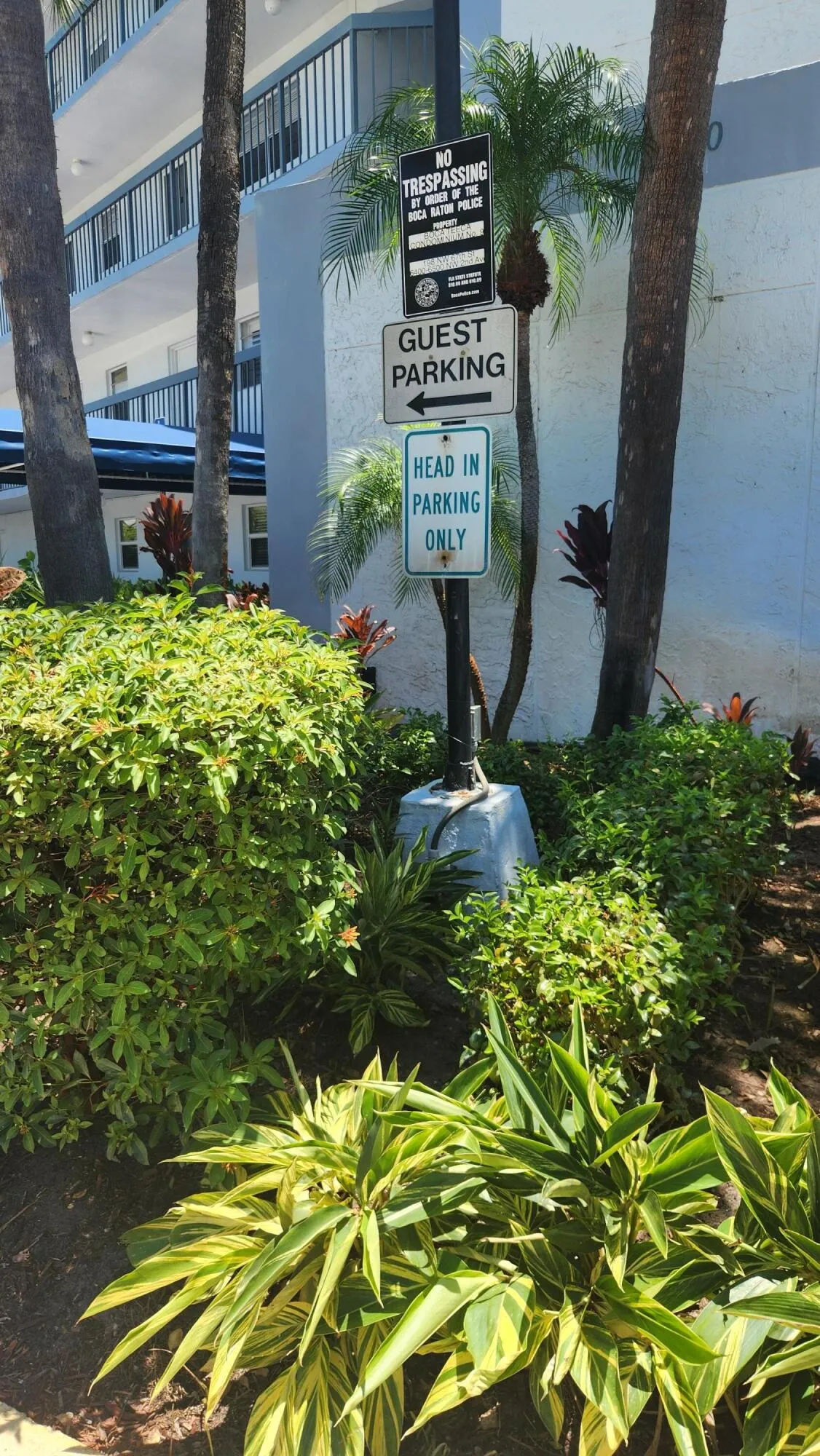 Additional guest parking