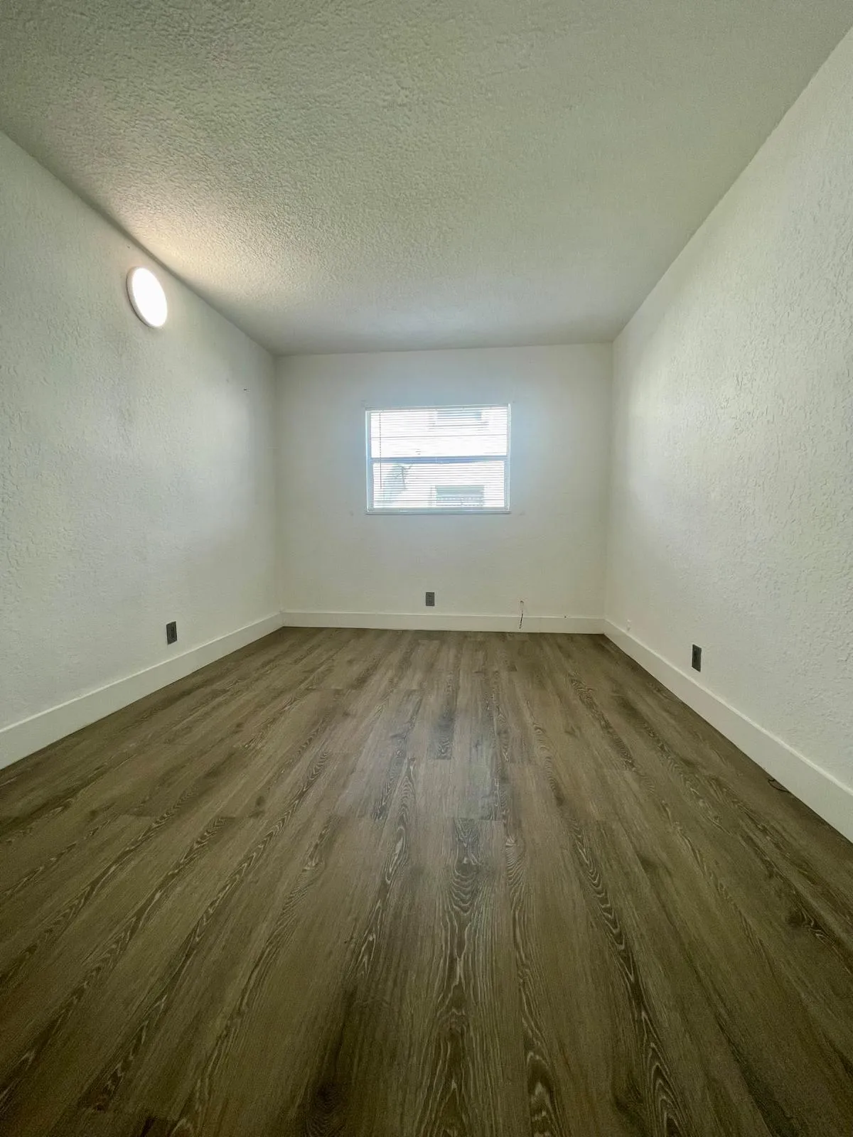 651- Pic 14