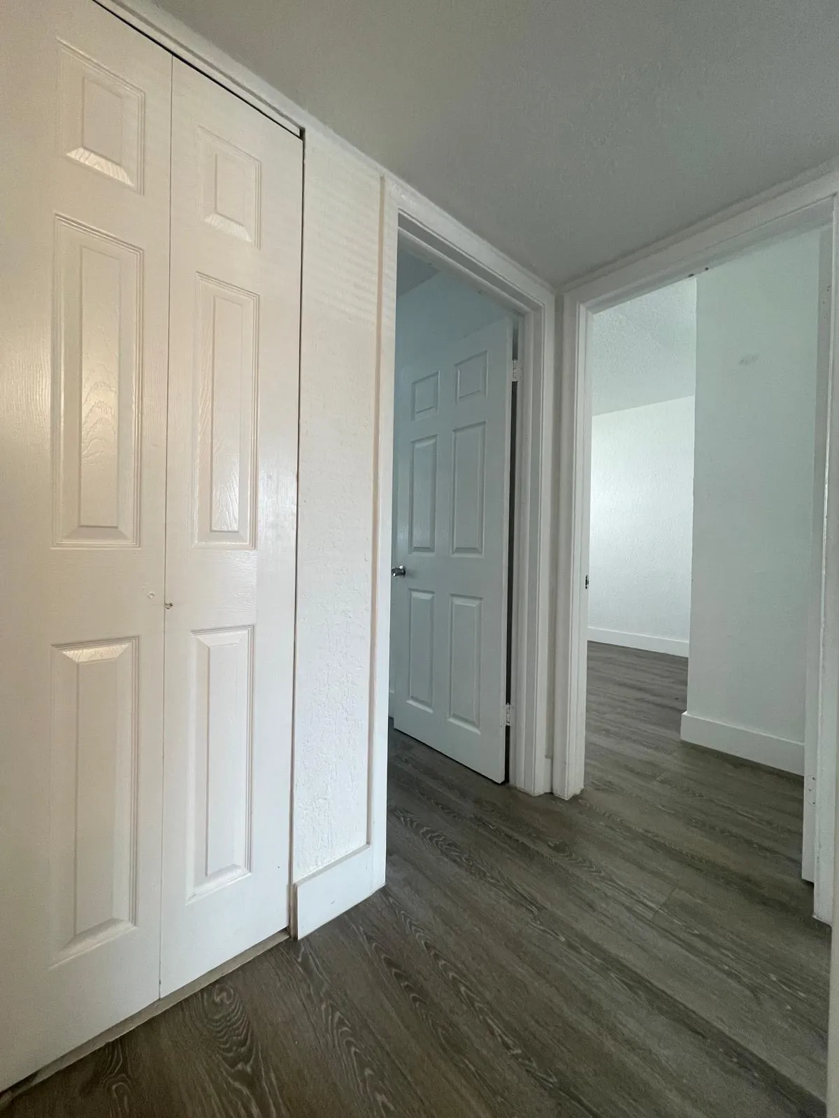 651- Pic 31