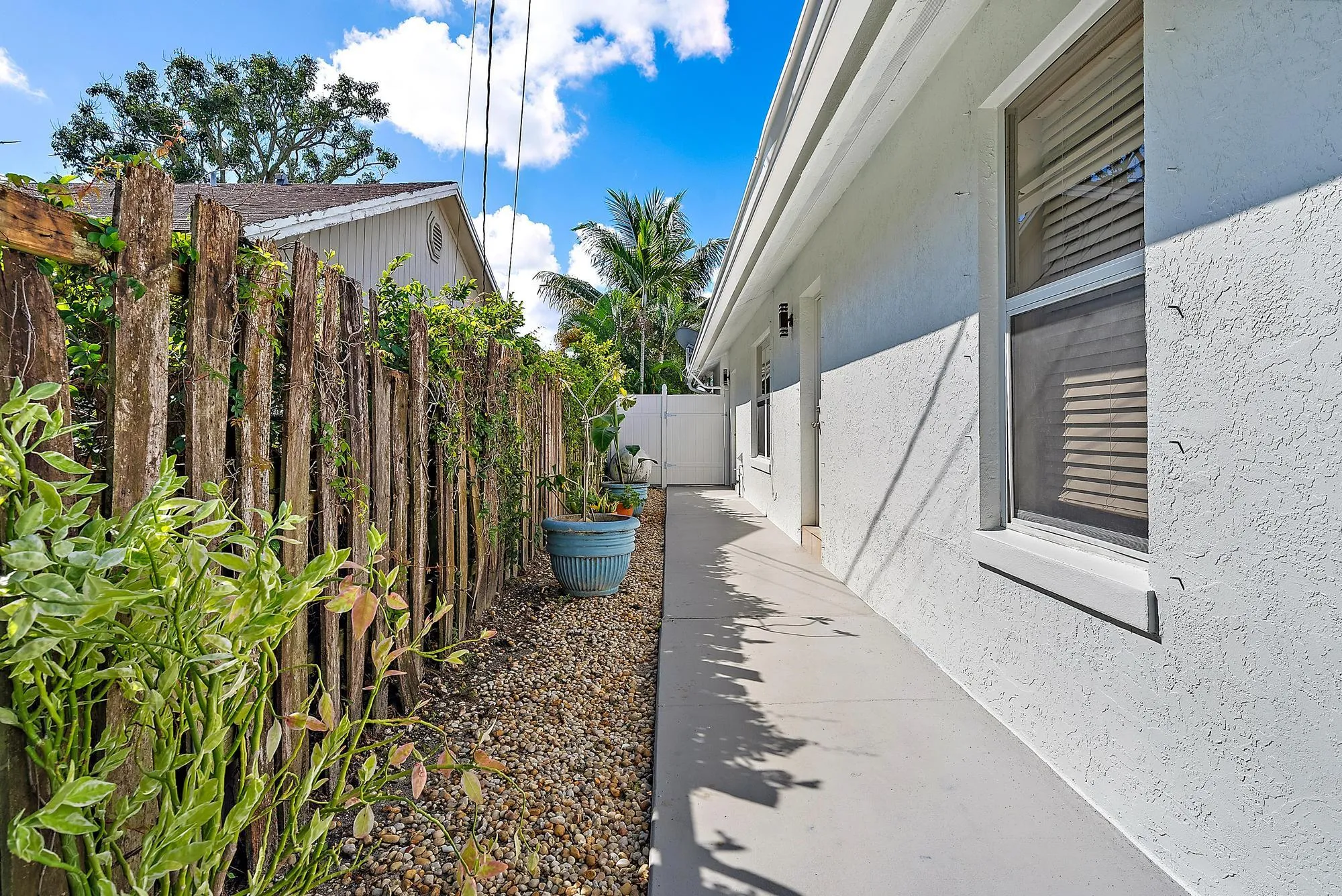 side yard 2