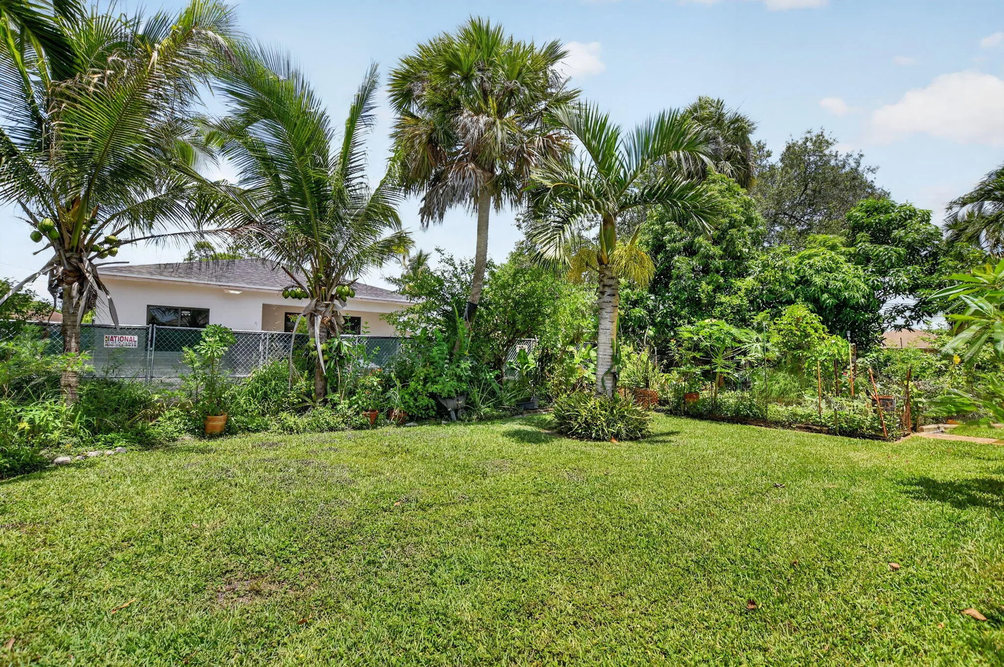 41-web-or-mls-DSC_1123