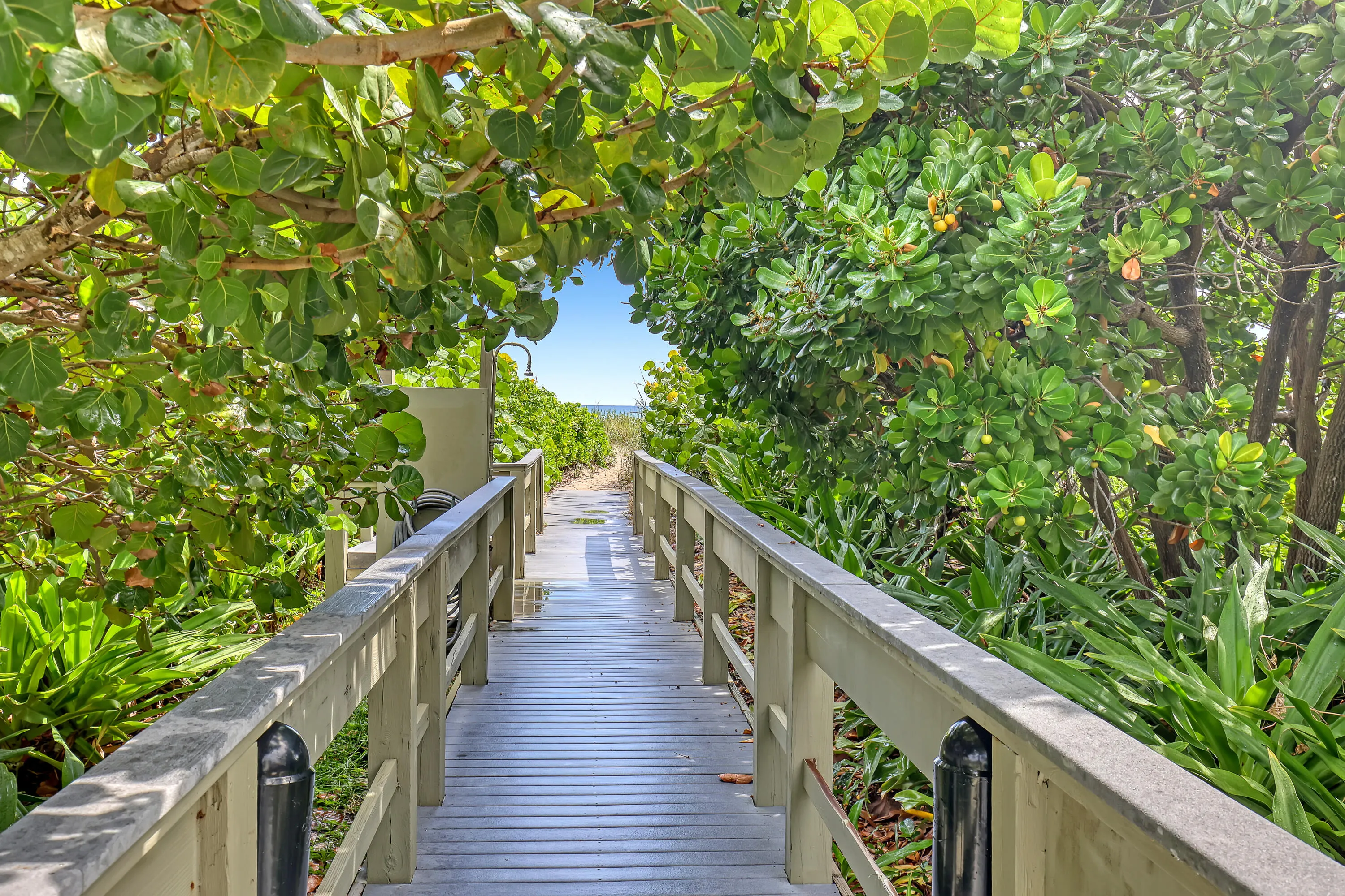 BEACH ACCESS