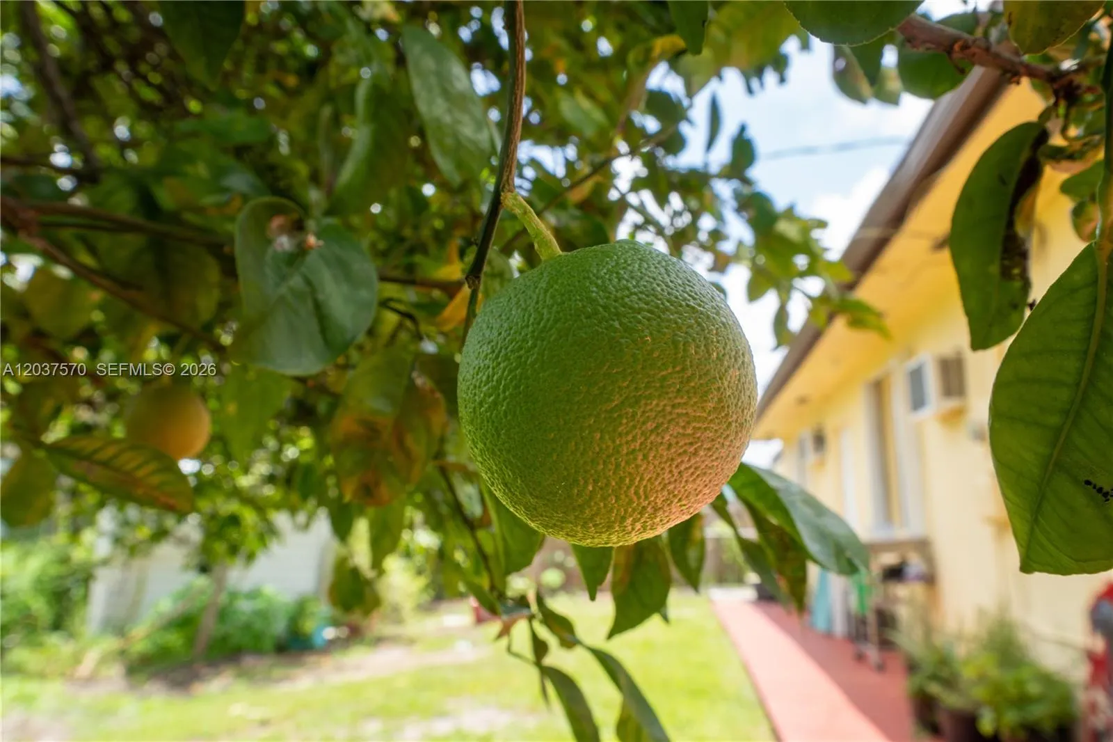Property photo 45