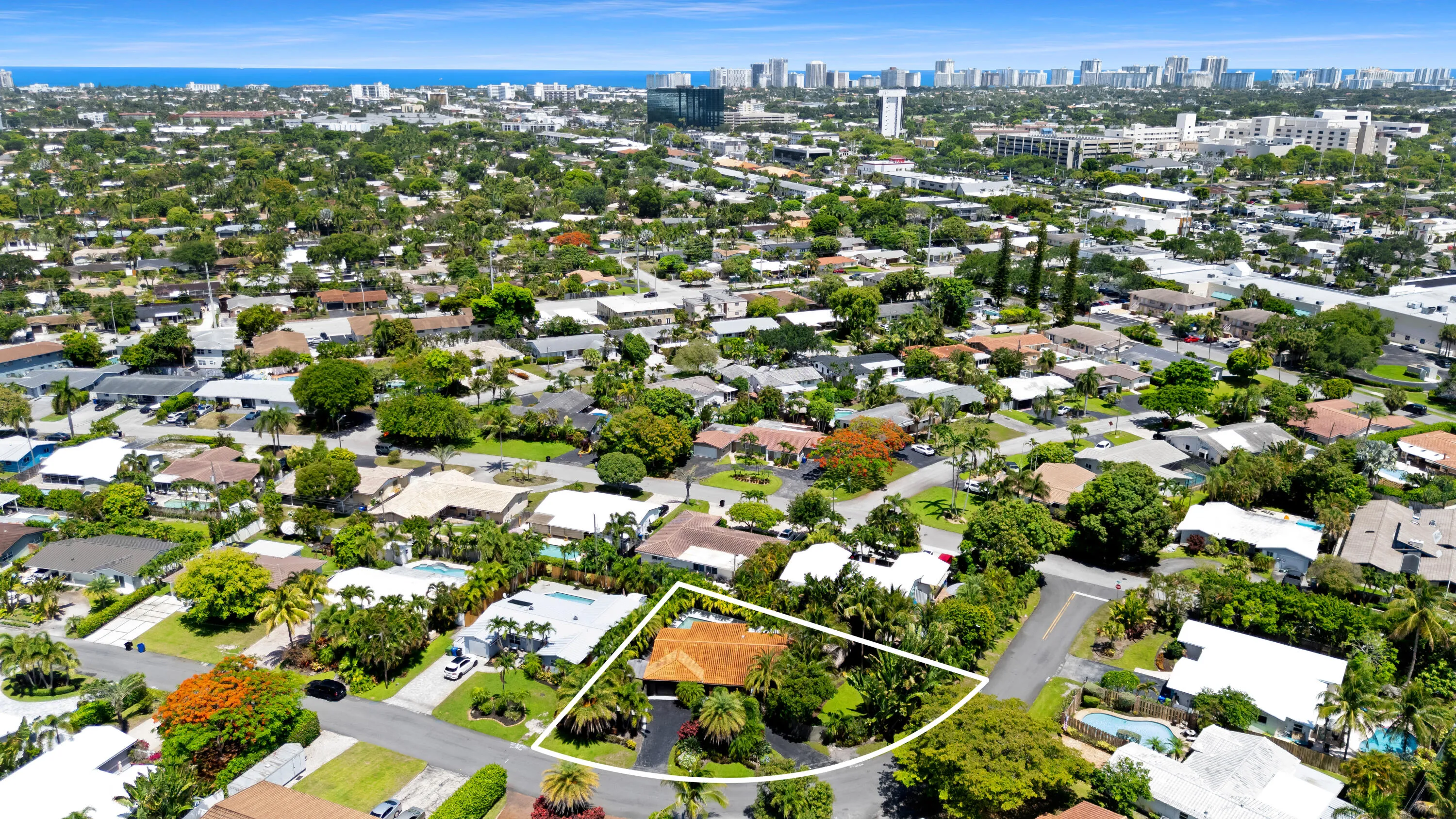 Aerial view