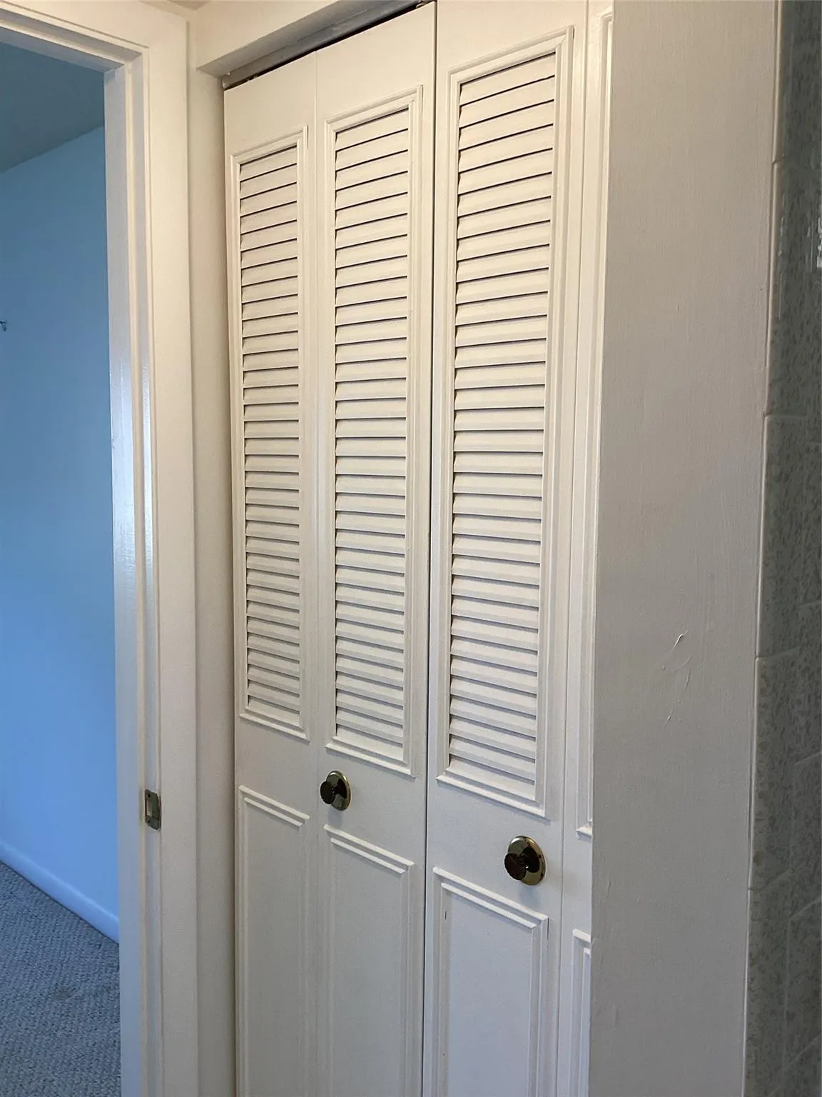 Large Linen closet