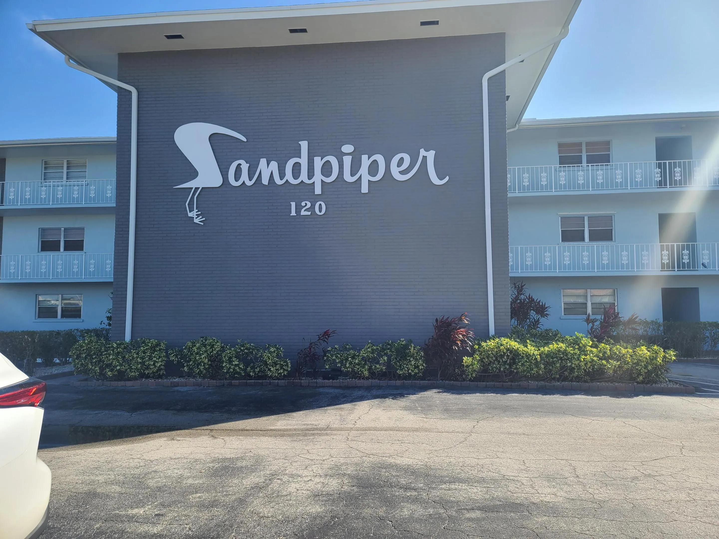 Sandpiper