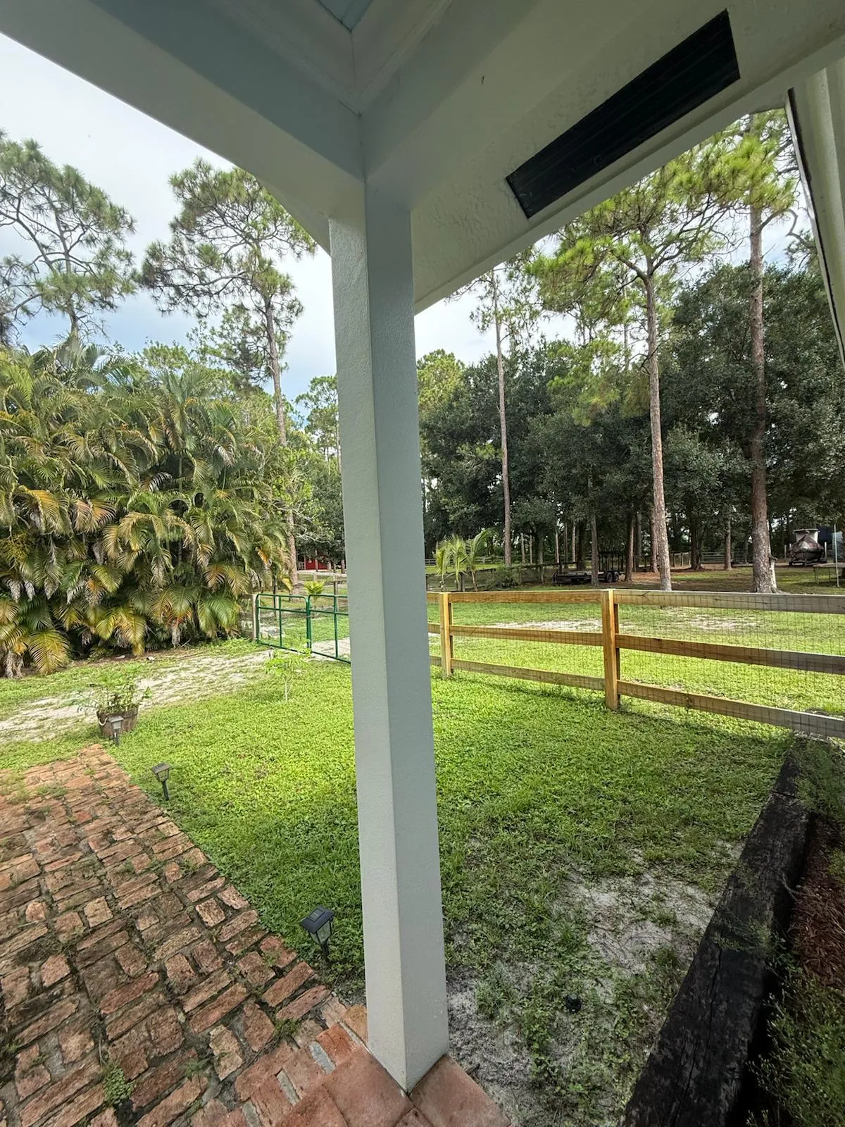 view