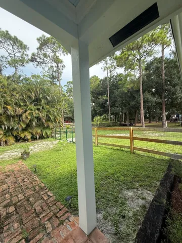 view