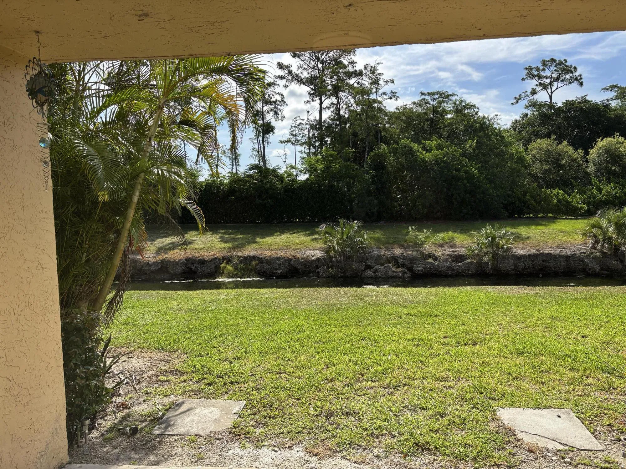grand oasis back yard view