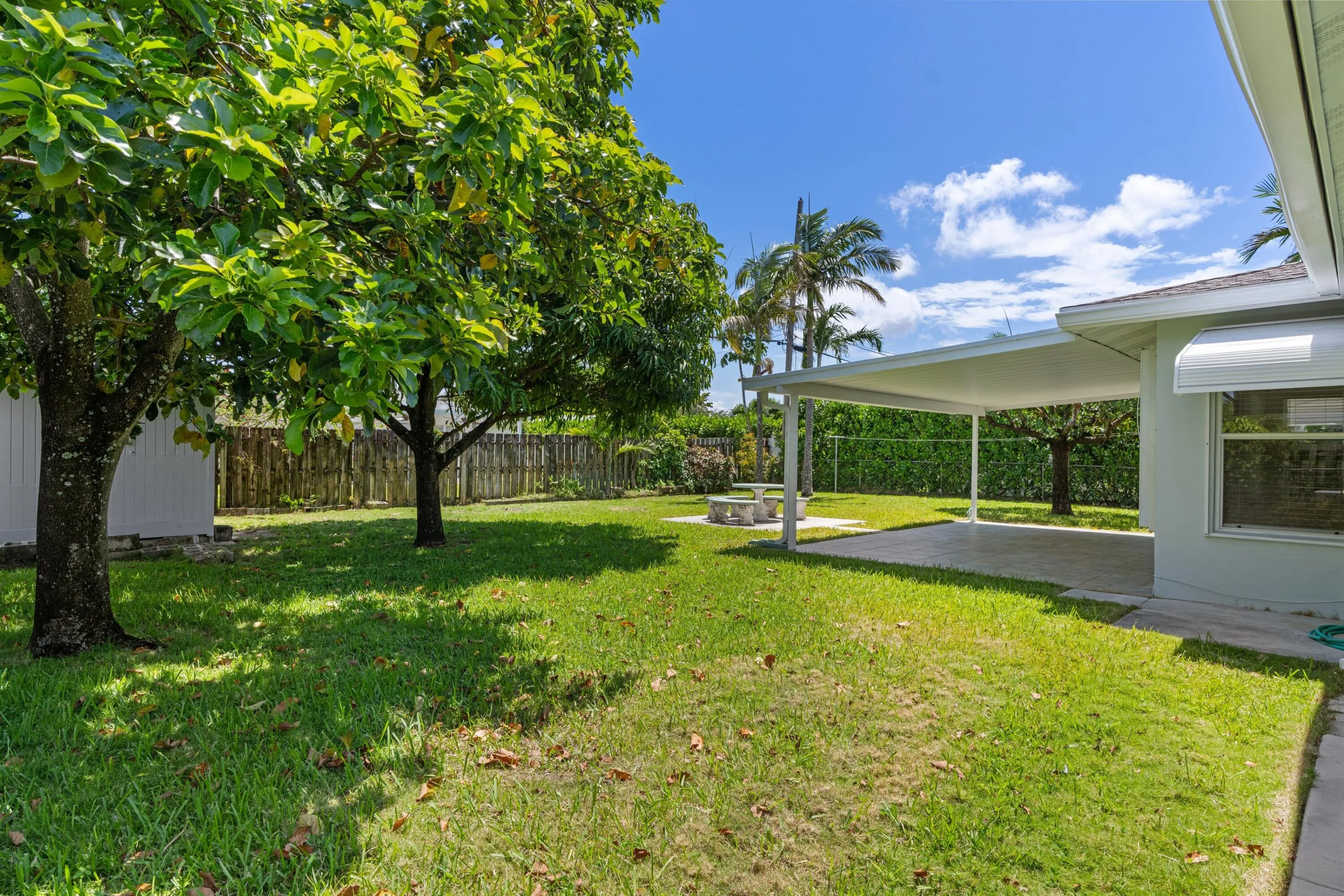 Backyard