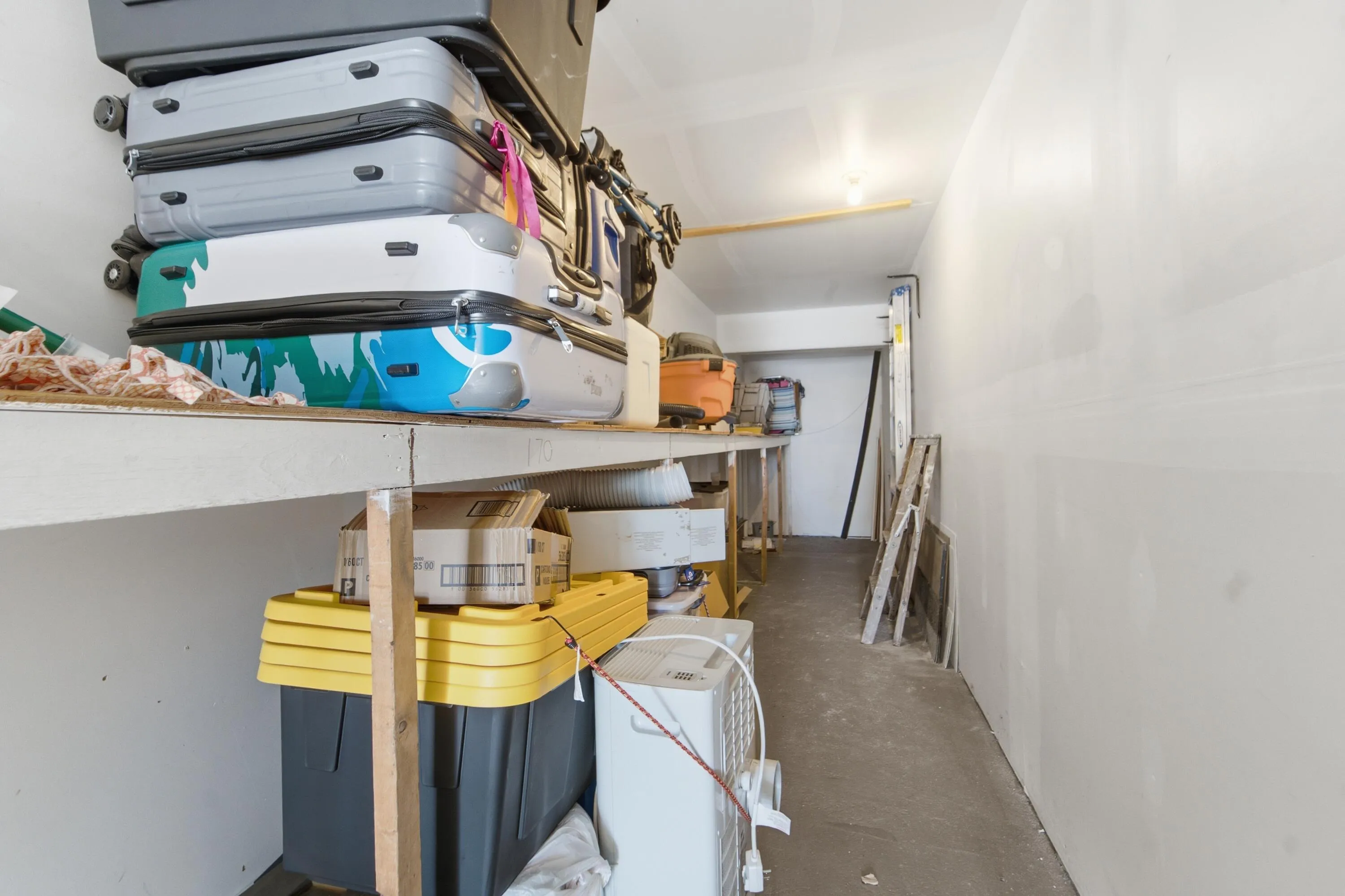 Storge