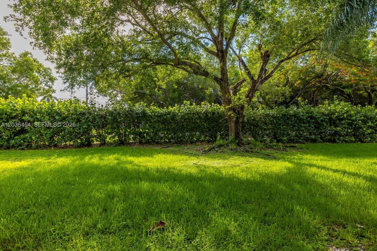Property photo 23