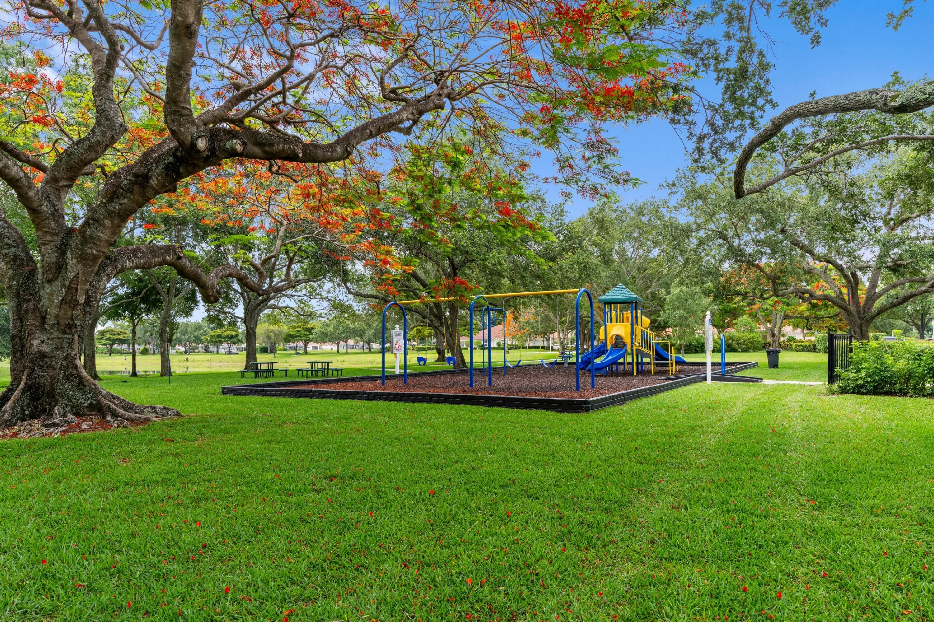 Playground w/ Shade