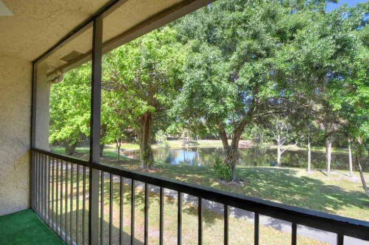 Backyard Lake View