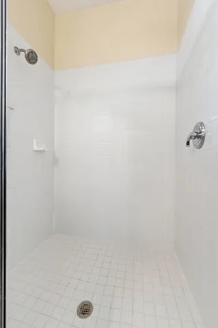 Primary Bath Shower