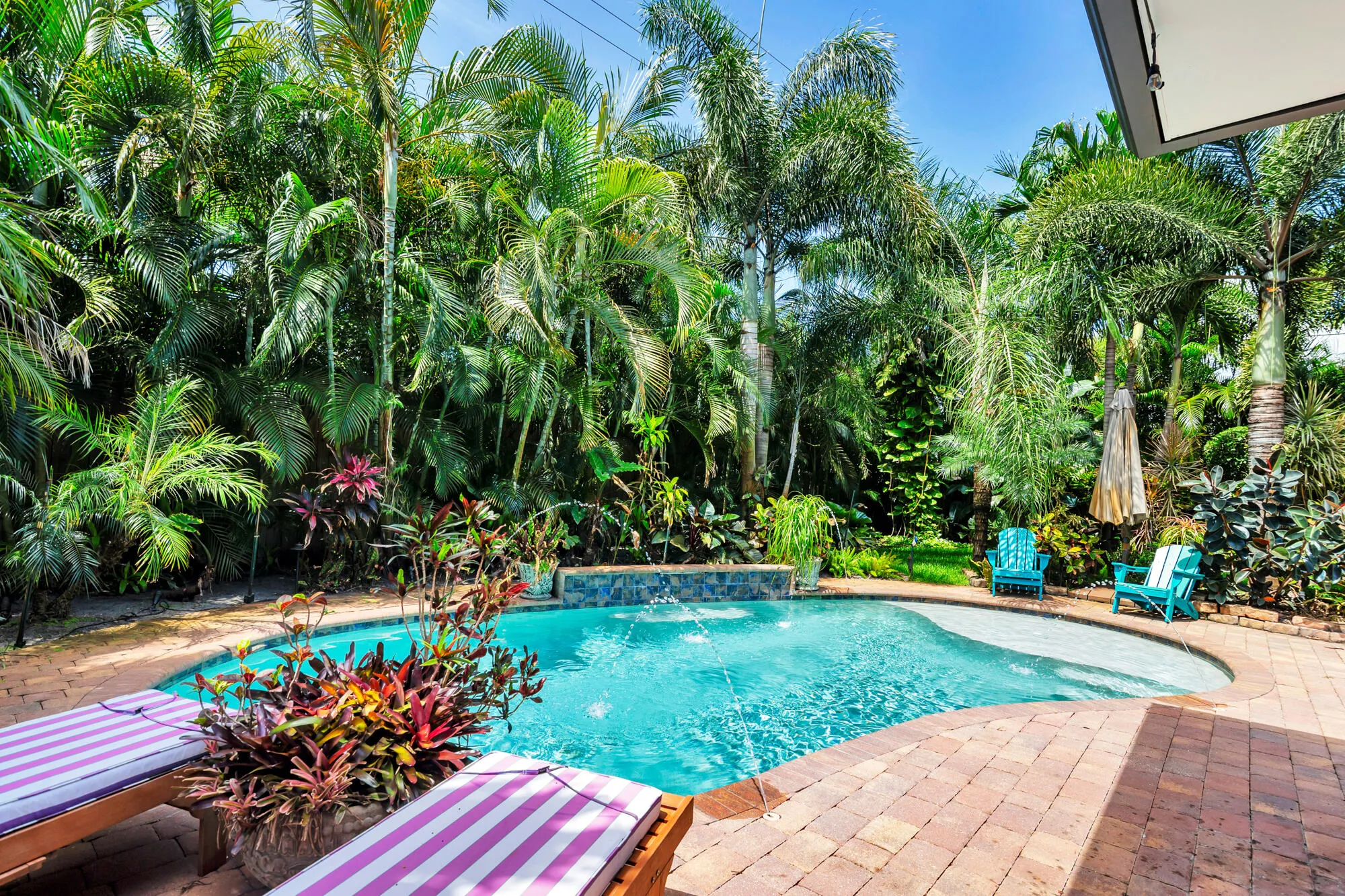 Yard/Pool