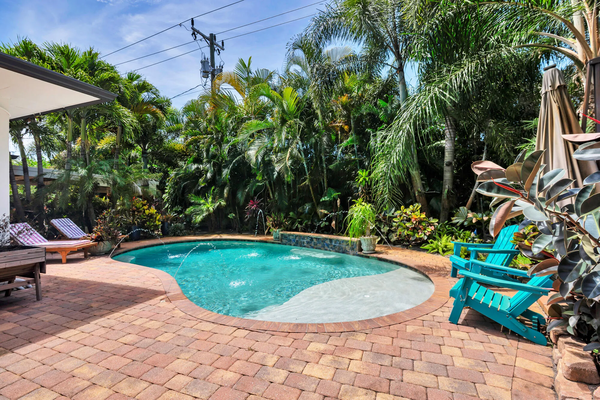 Yard/Pool