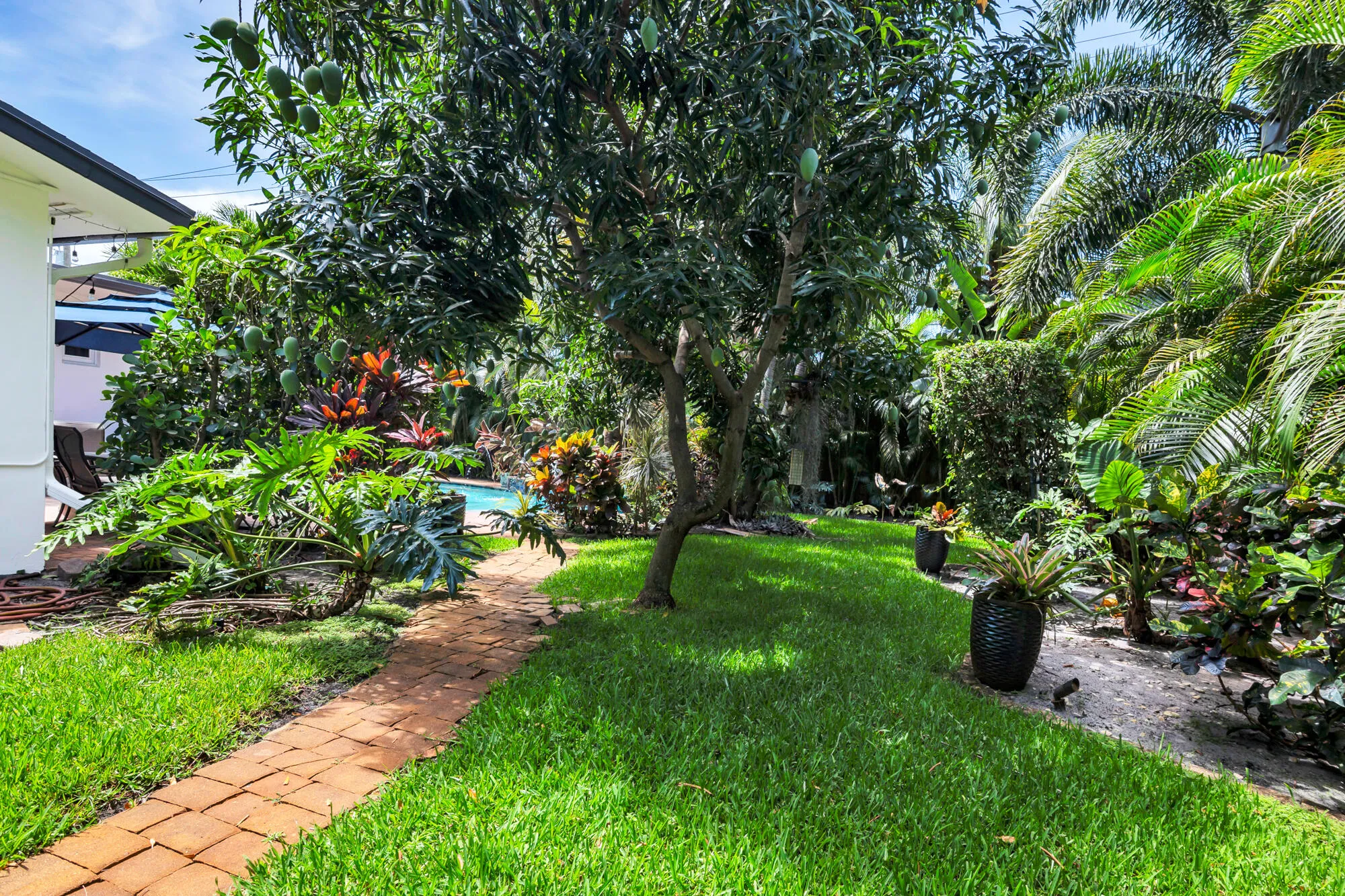 Yard