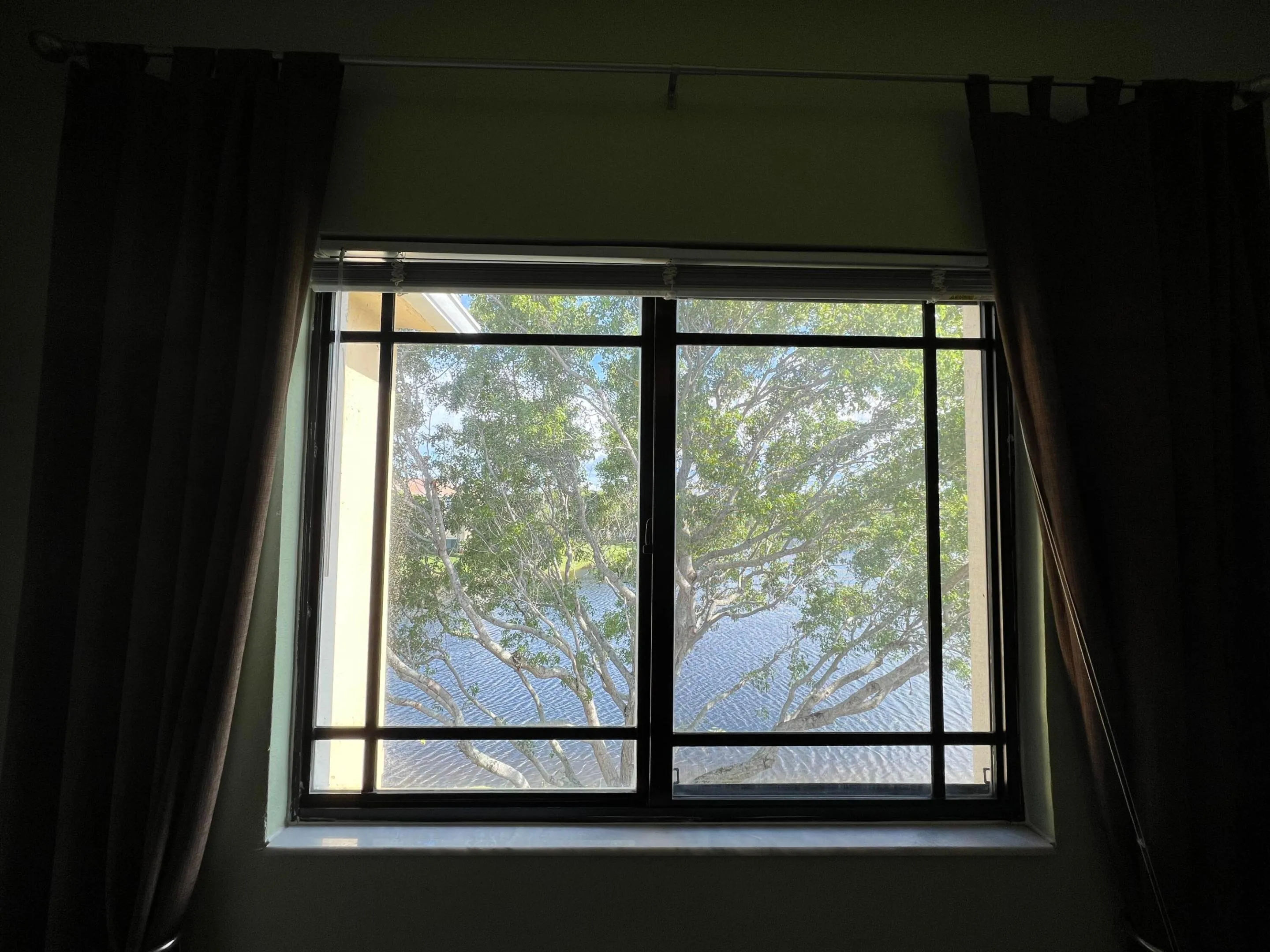 IMG-4535