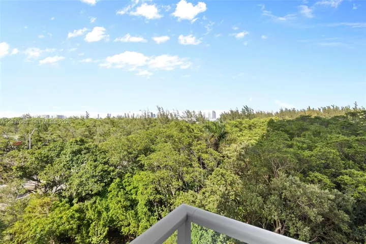 Views of Oleta State Park
