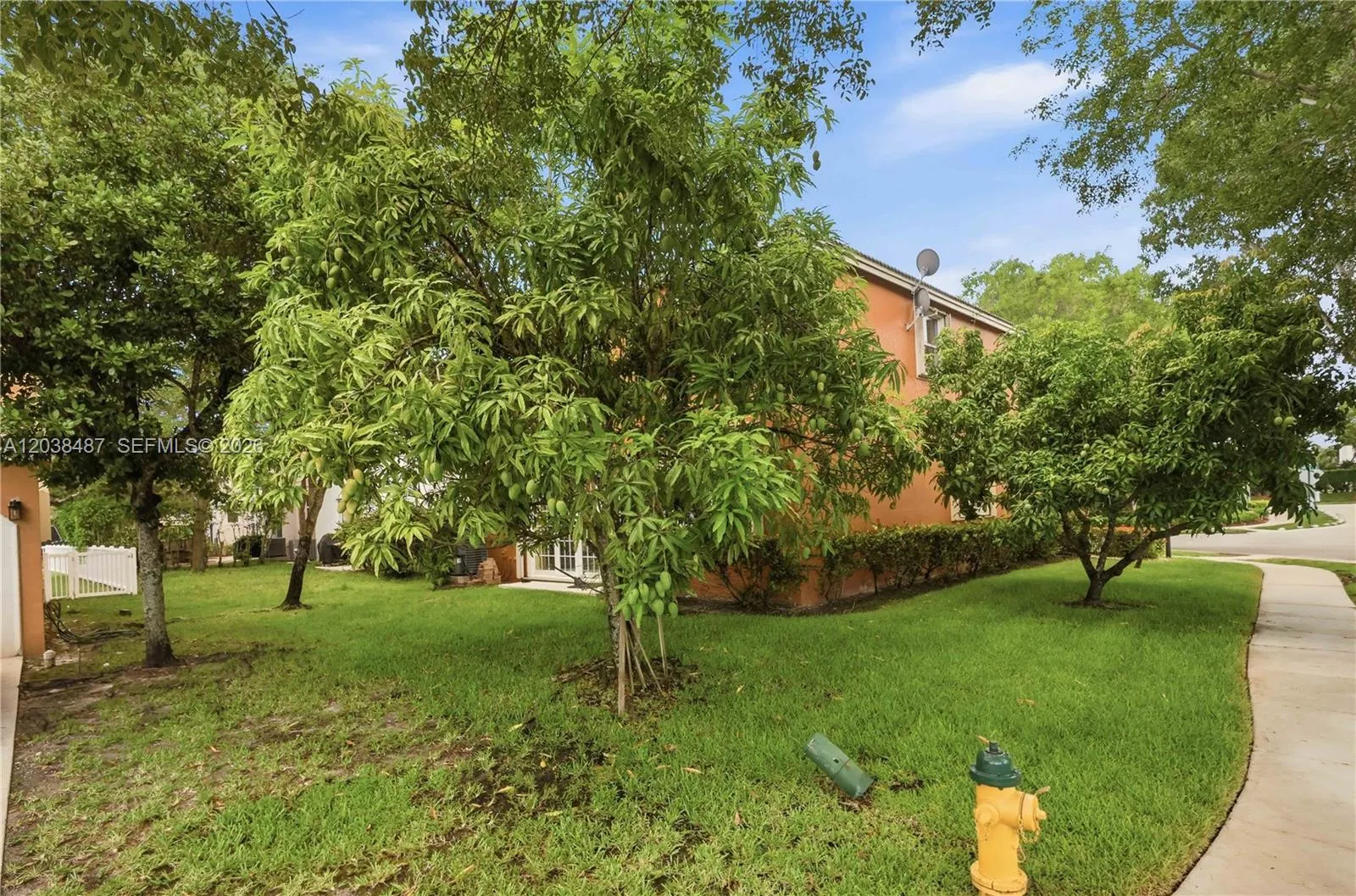 Property photo 52
