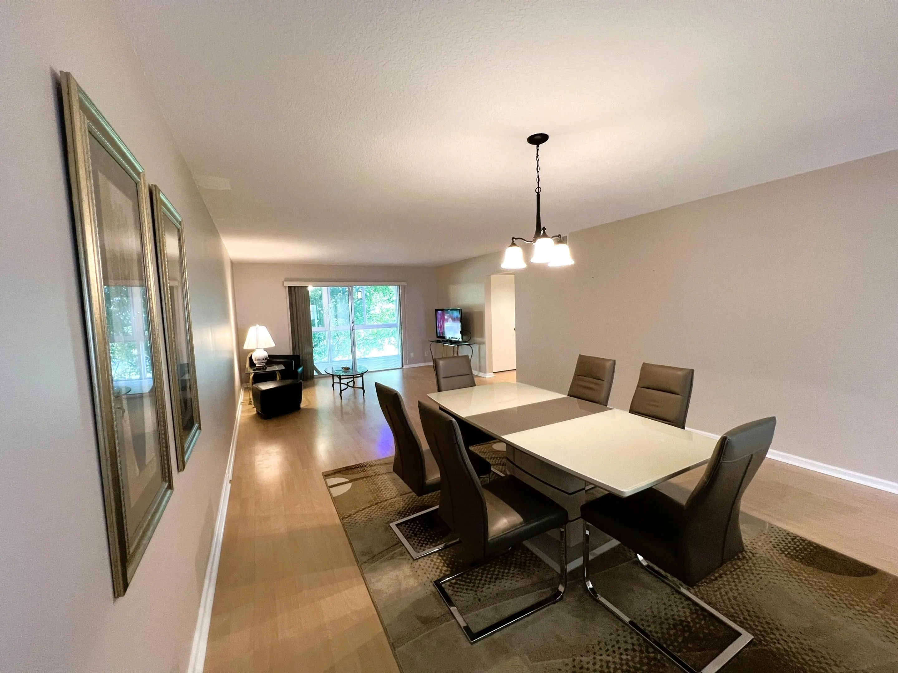 Dining/Living Room
