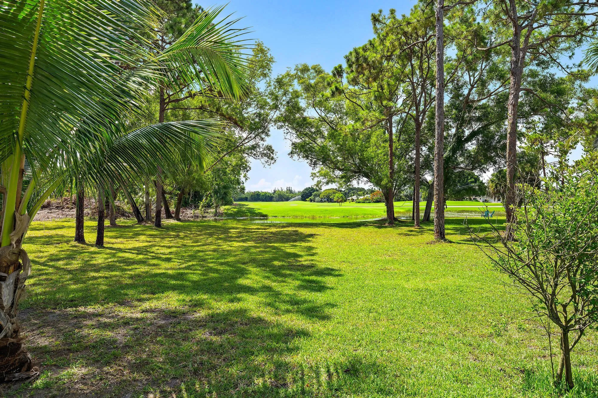 Property photo 45