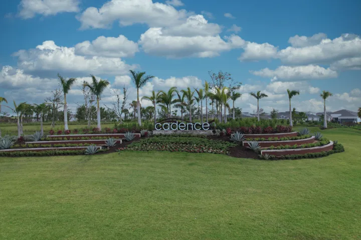 DJI_0771