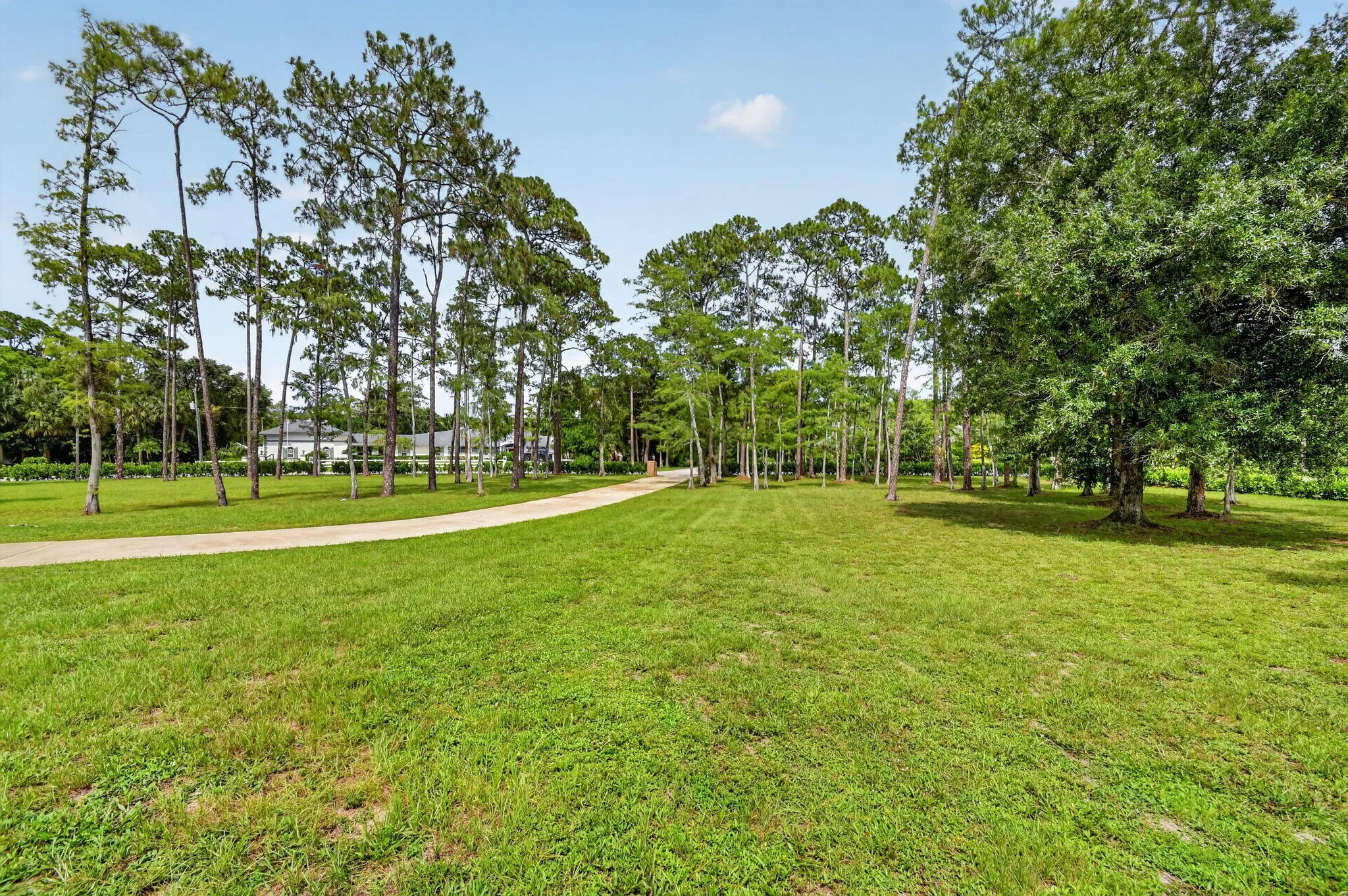 Property photo 87
