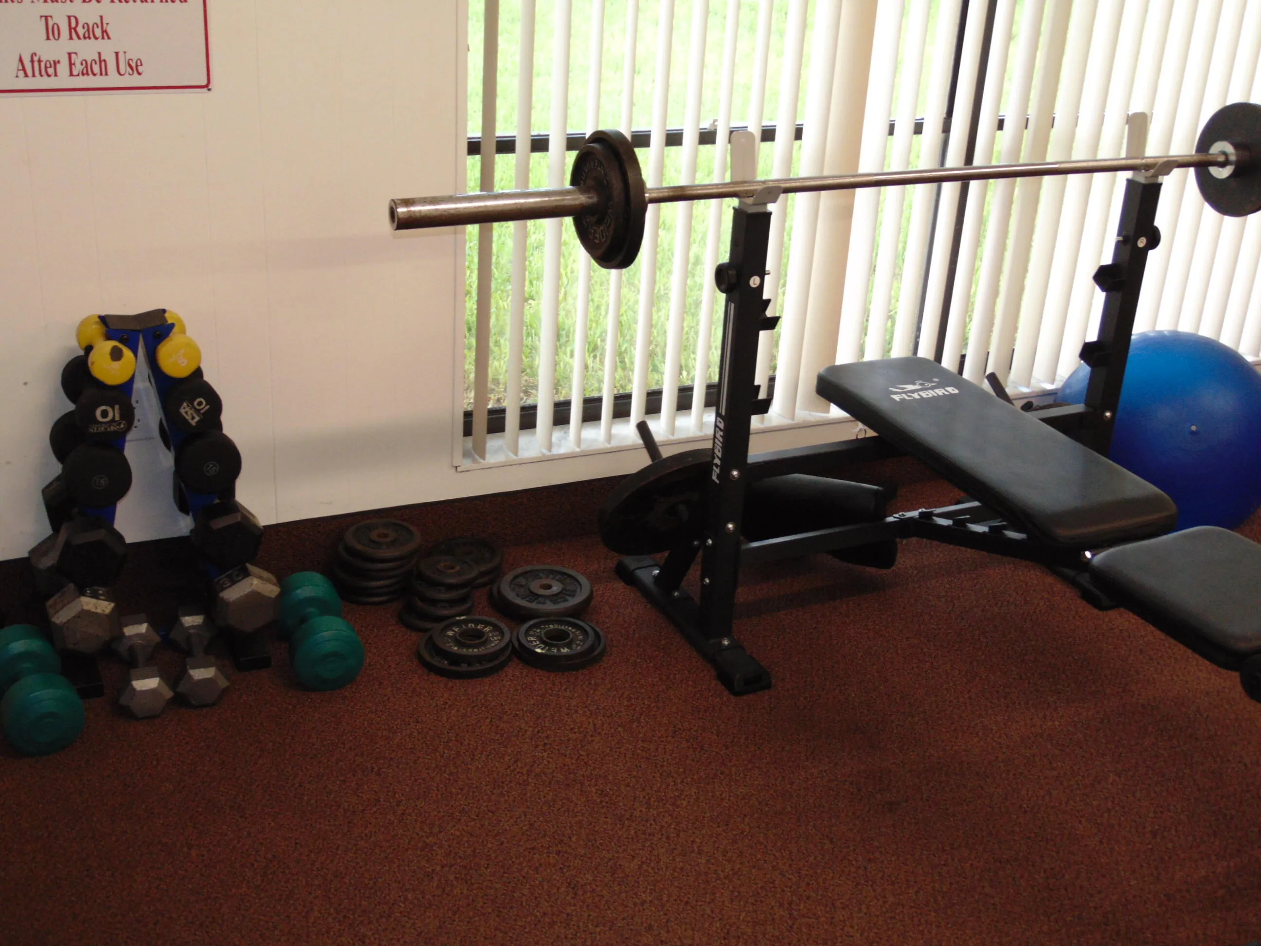 GYM BENCH PRESS